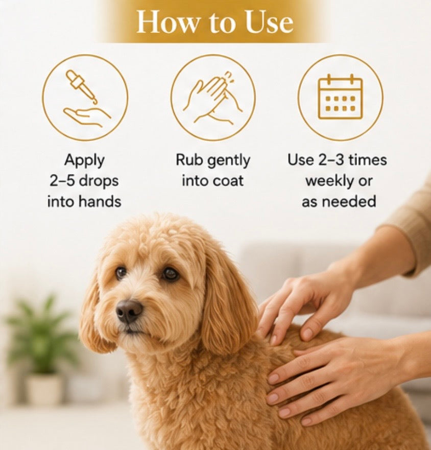 EverClean Pet Co. Coat Glow Oil