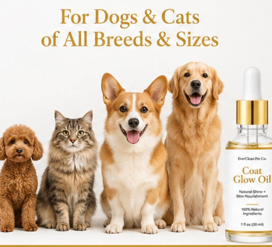 EverClean Pet Co. Coat Glow Oil